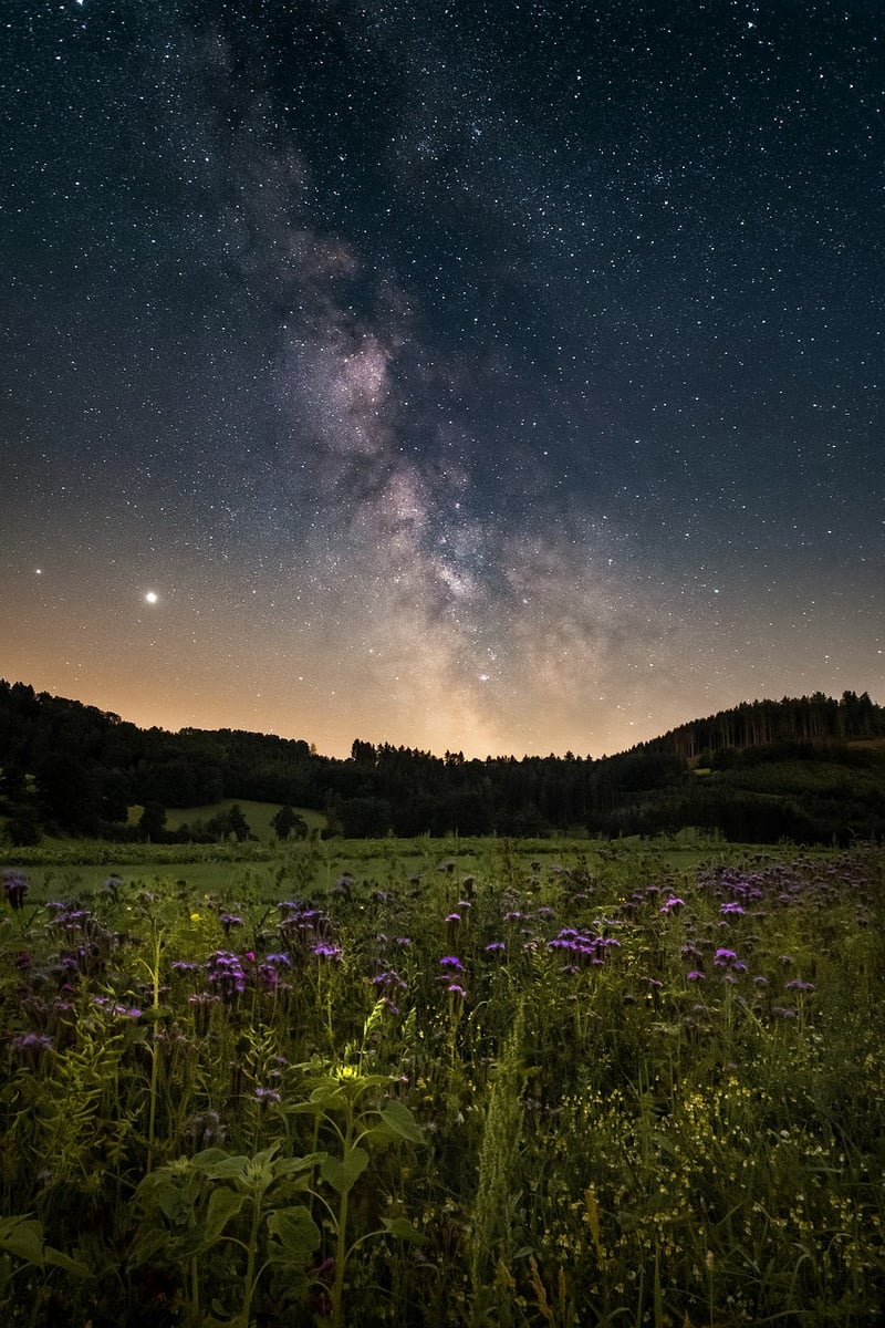 Galactic Odysseys