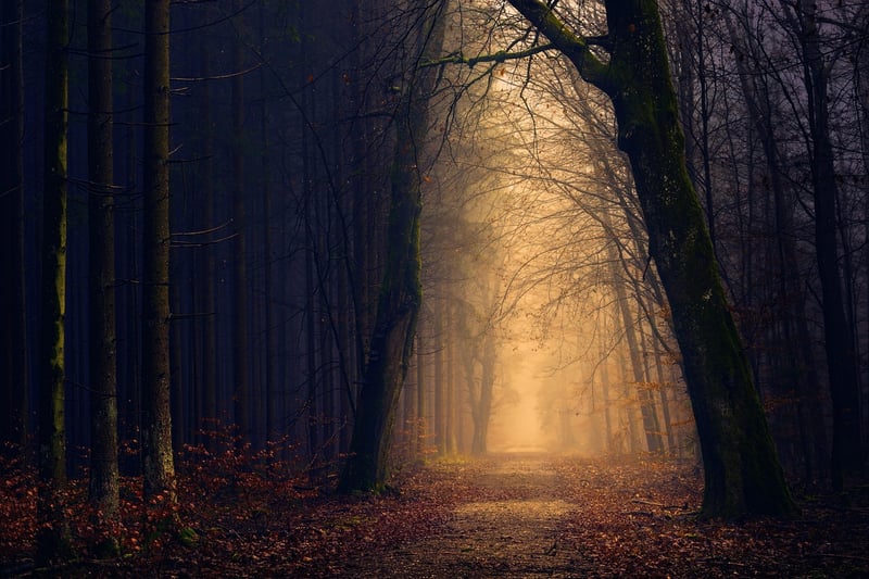 Mystical Adventures