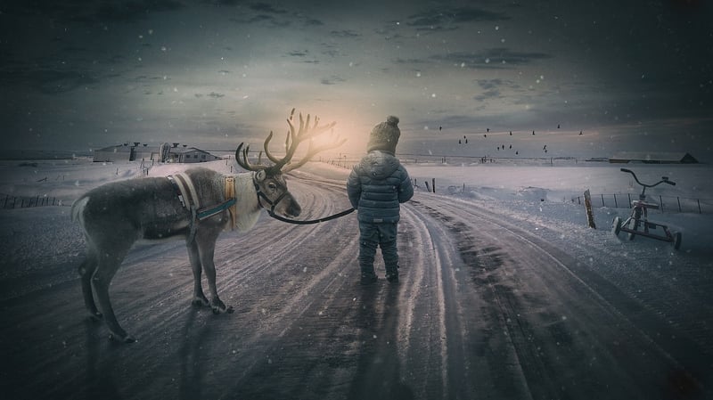Whimsical Escape